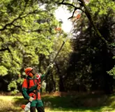 Висоторіз електричний STIHL HTE 60, кущоріз Довжина пилки 30 см, 4,5 кг